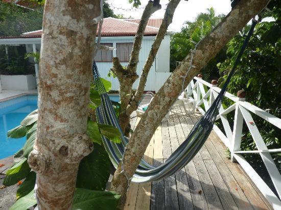 El Momo Cottages Windward Side Exterior foto